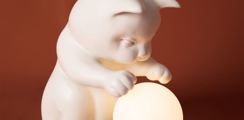 Настольный светильник Freya FR5607TL-01W