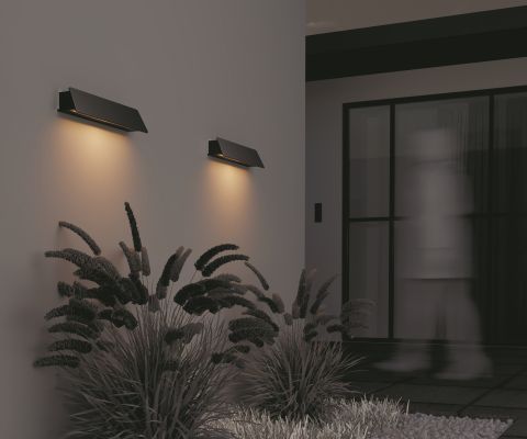 Уличный настенный светильник Outdoor O429WL-L10GF3K
