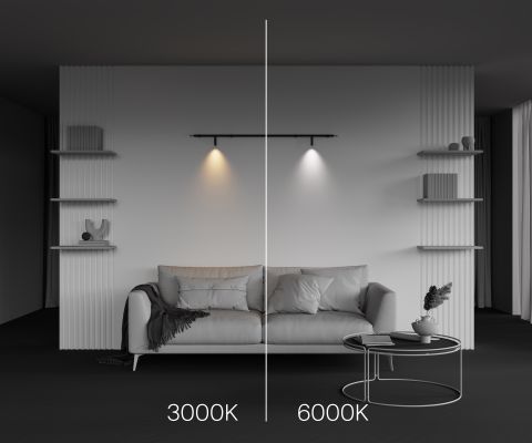 Светильник Technical C102CL-3W3-6K-B