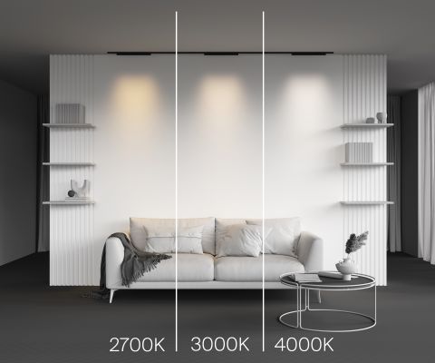 Трековый светильник Technical TR193-1-20W2.7K-M-B