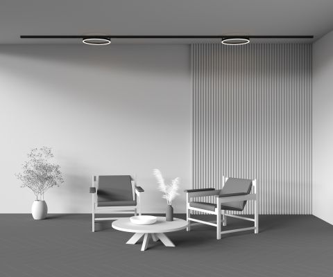 Трековый светильник Technical TR227-2-24W3K-B