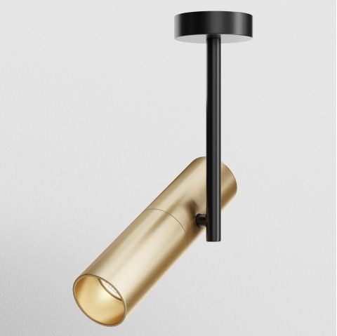 Потолочный светильник Technical C020CL-01GB