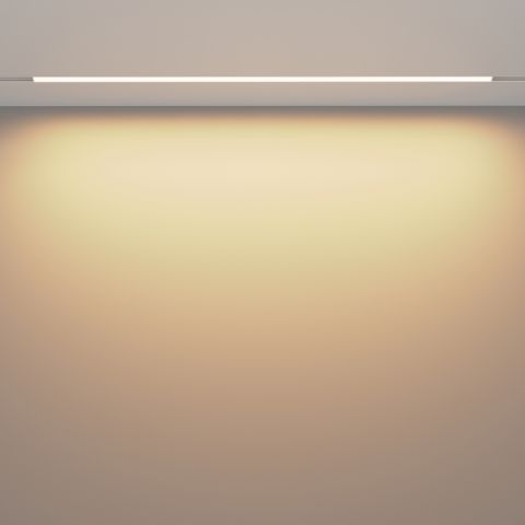 Трековый светильник Technical TR030-2-30W3K-W