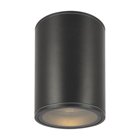 Уличный потолочный светильник Outdoor O306CL-L7GF
