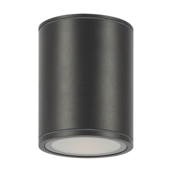 Уличный потолочный светильник Outdoor O306CL-L12GF