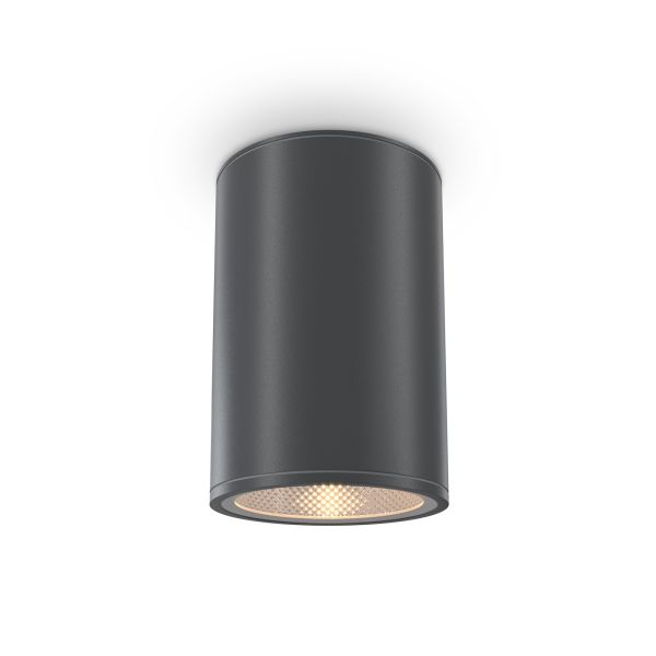 Уличный потолочный светильник Outdoor O306CL-L12GF