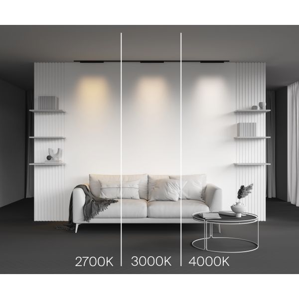 Трековый светильник Technical TR193-1-20W4K-M-B