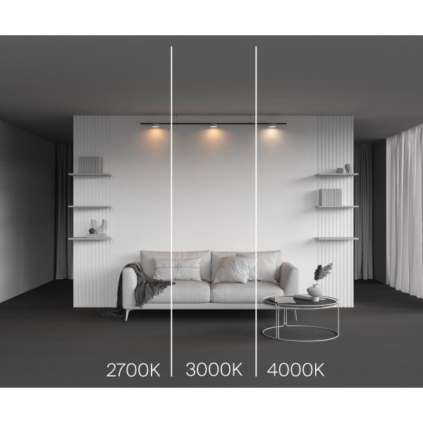 Трековый светильник Technical TR189-1-12W2.7K-BW
