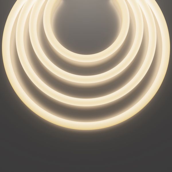 Гибкий неон Led Strip 433001
