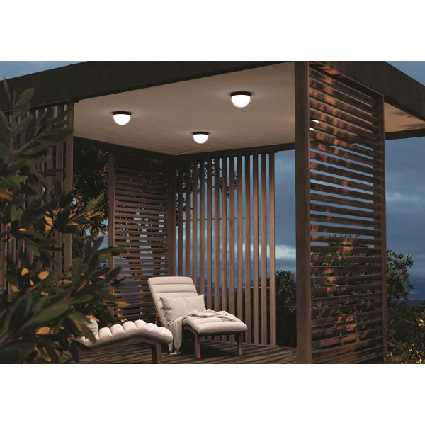 Уличный потолочный светильник Outdoor O438CL-L12GF3K