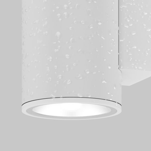 Уличный настенный светильник Outdoor O303WL-L10W3K