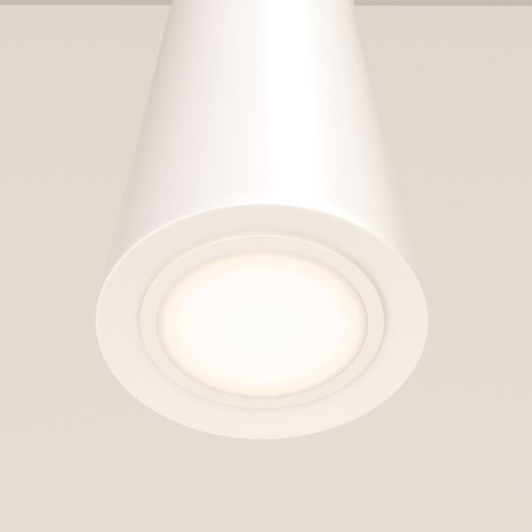 Подвесной светильник Maytoni P318-PL-01-W