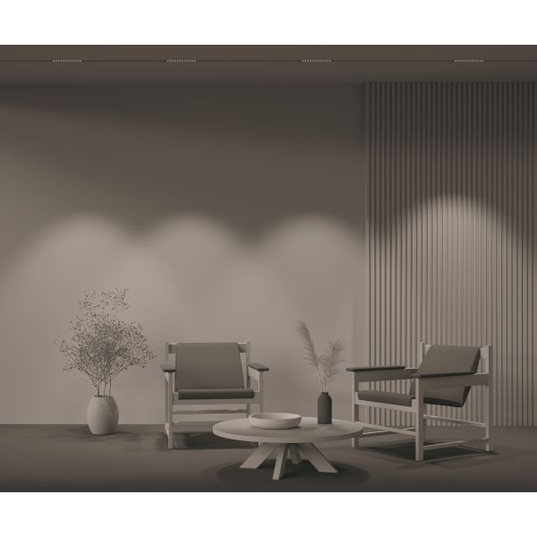 Трековый светильник Technical TR031-2-12W3K-B